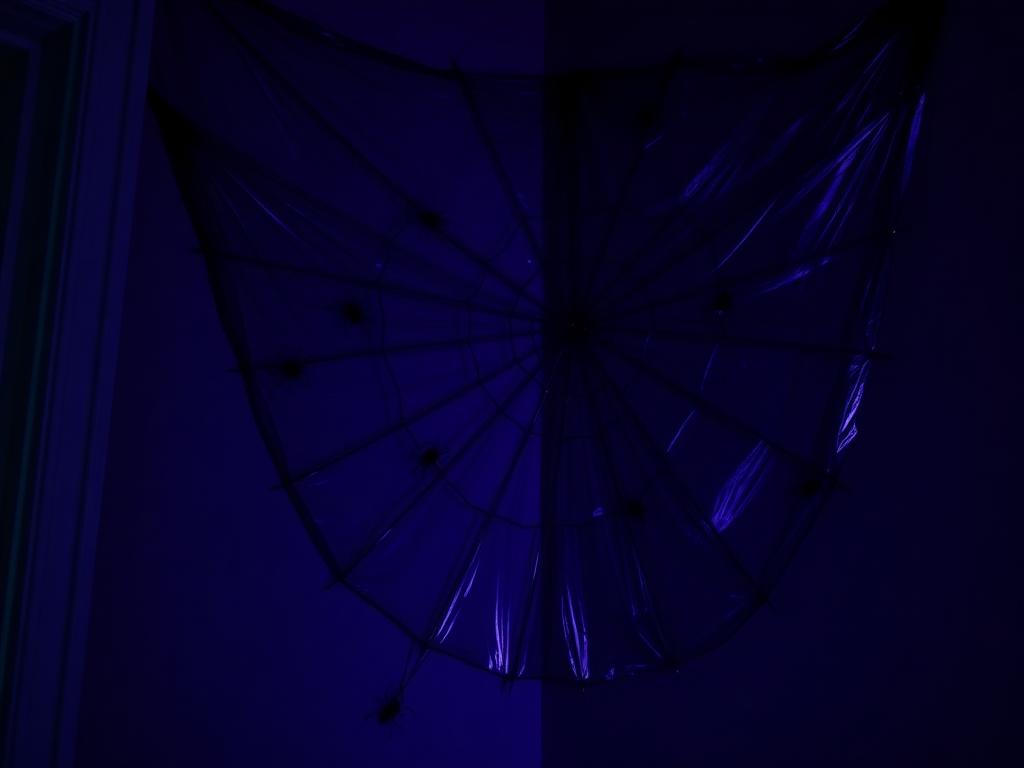 Trash Bag Spiderwebs